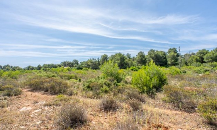 Reventa - Parcela -
Jávea - Cabo de Sant Antonio