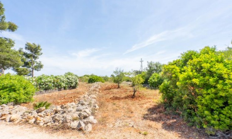 Reventa -  -
Jávea - Cabo de Sant Antonio