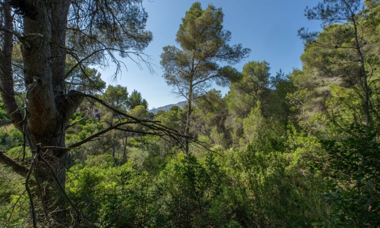 Reventa - Parcela -
Jávea - Rafalet