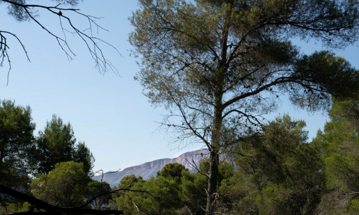 Wiederverkauf - Grundstücke -
Jávea - Rafalet