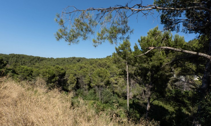 Revente - Tracé -
Jávea - Rafalet