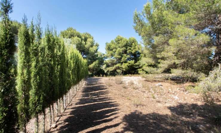 Resale - Ground -
Jávea - Cap de San Antonio