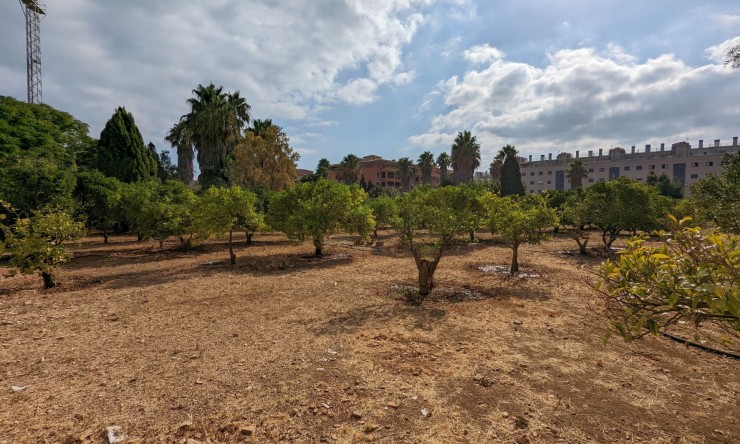 Herverkoop -  -
Denia - Sportcentrum