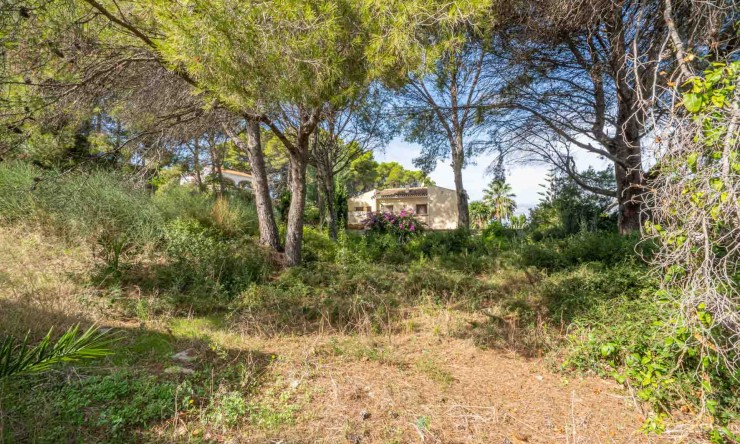 Resale - Plot -
Jávea - Adsubia