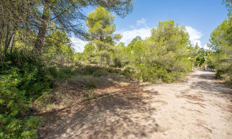 Herverkoop - Plot -
Jávea - Pinosol