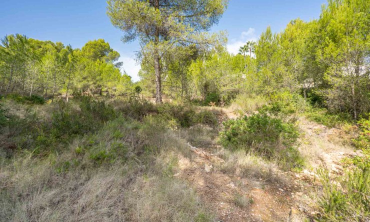 Wiederverkauf - Grundstücke -
Jávea - Pinosol