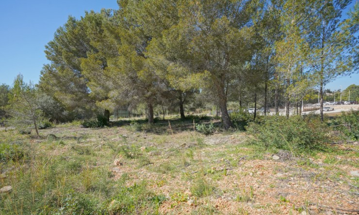 Resale - Plot -
Jávea - Montgo