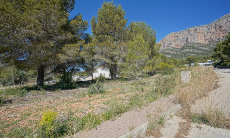 Revente - Tracé -
Jávea - Montgo