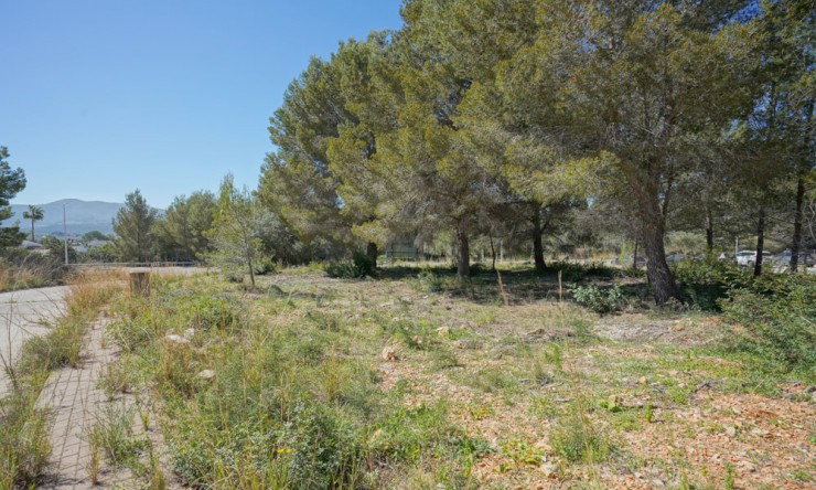 Revente - Tracé -
Jávea - Montgo