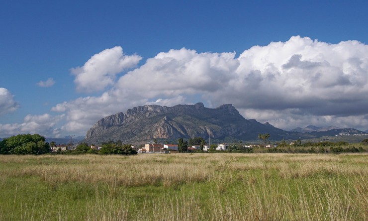 Neue Gebäude - Villa -
Els Poblets - Sorts de la Mar