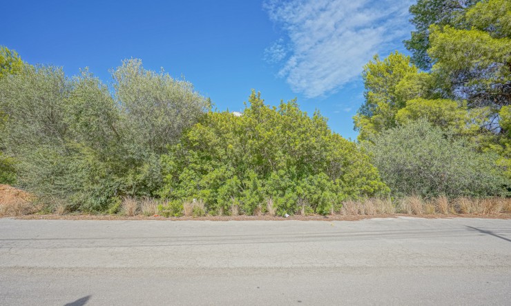 Herverkoop - Plot -
Benissa - Cala Baladrar