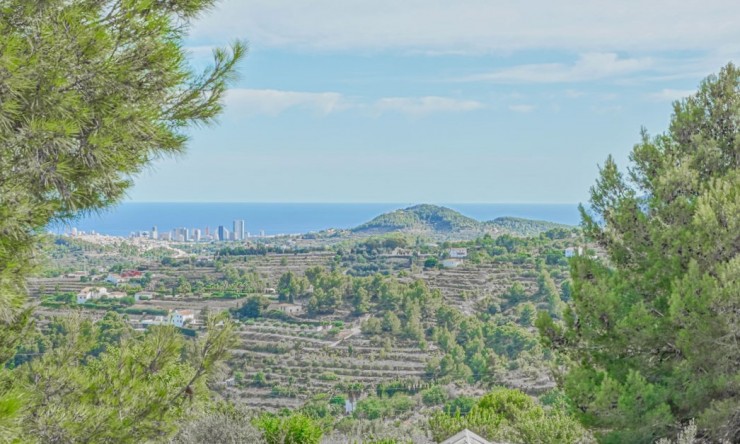 Revente - Tracé -
Benissa - Centre