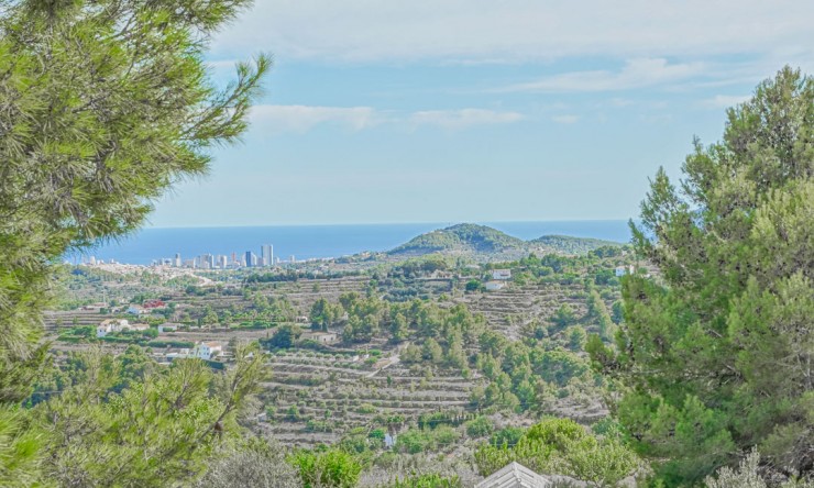 Revente - Tracé -
Benissa - Centre