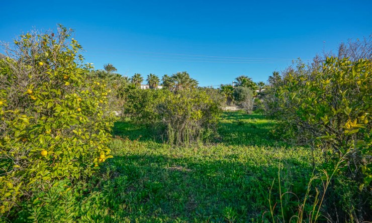 Resale - Plot -
Jávea - Valls