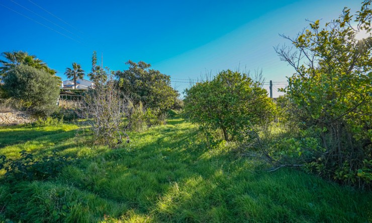 Wiederverkauf - Grundstücke -
Jávea - Valls