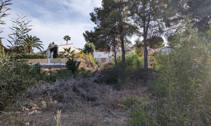 Herverkoop - Plot -
Moraira - Pinar del Advocat