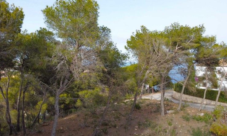 Wiederverkauf - Grundstücke -
Jávea - Balcon al Mar