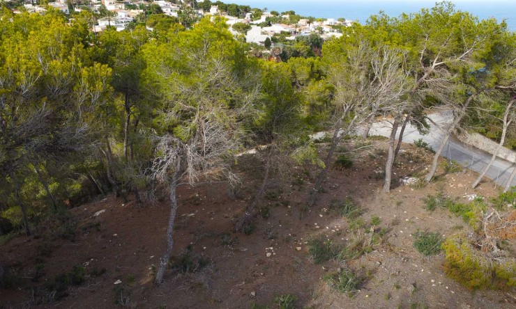 Revente - Tracé -
Jávea - Balcon al Mar