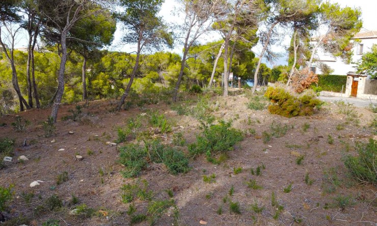 Wiederverkauf - Grundstücke -
Jávea - Balcon al Mar