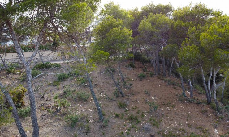 Revente - Tracé -
Jávea - Balcon al Mar