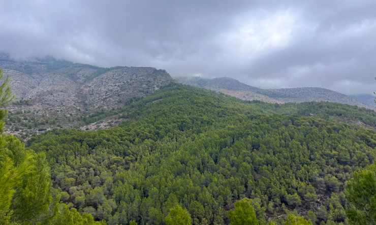 Revente - Tracé -
Altea - Urbanización Santa Clara