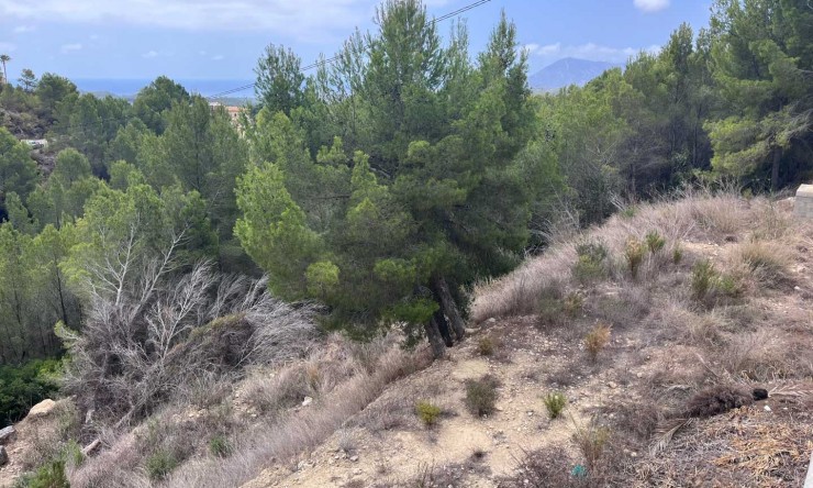 Herverkoop - Plot -
Altea - Urbanización Santa Clara