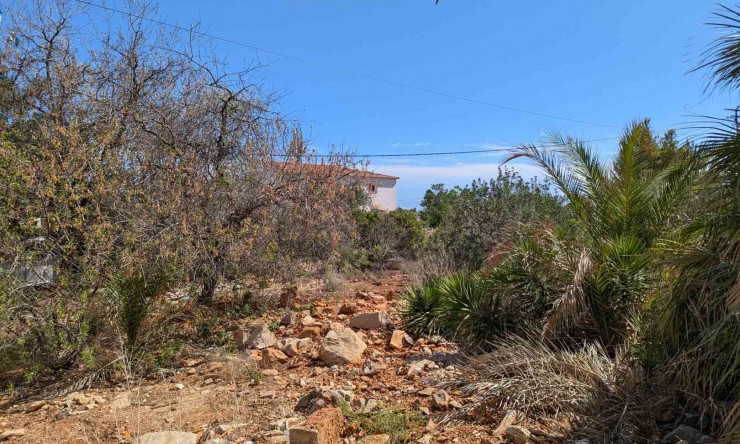 Revente - Tracé -
Denia - Corral de Calafat