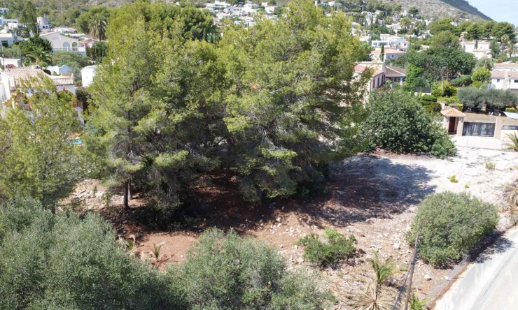 Resale - Plot -
Denia - Don Quijote