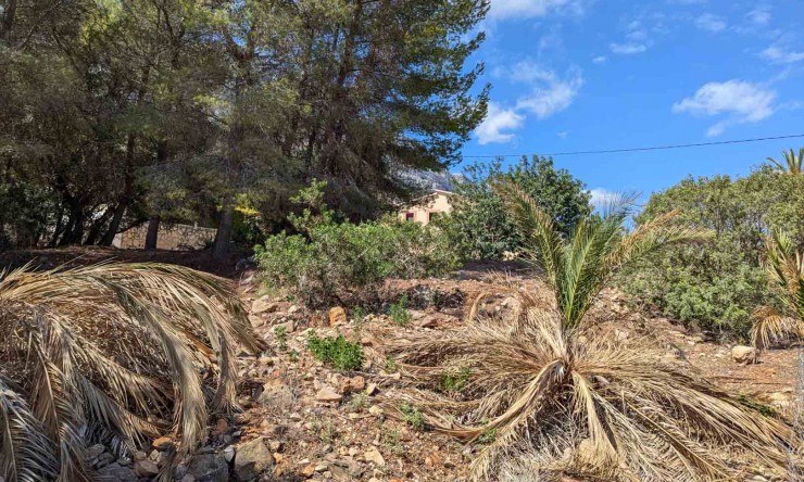 Resale - Plot -
Denia - Don Quijote