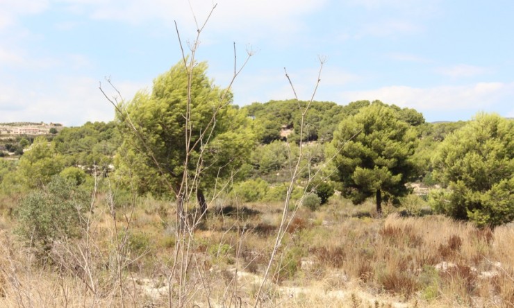 Wiederverkauf -  -
Moraira - Benimeit