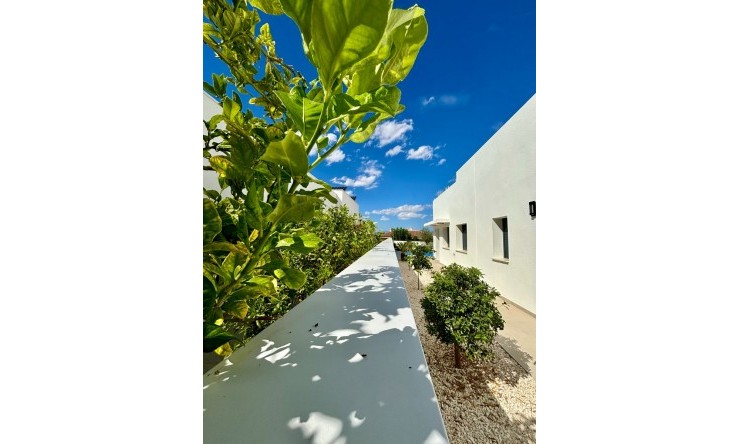 Nowe budownictwo - Willa -
Benijofar