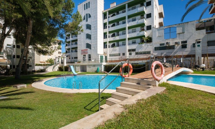 Revente - Appartement -
Albir