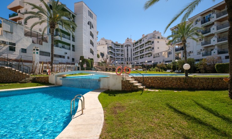 Revente - Appartement -
Albir