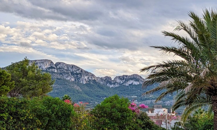 Rynek Wtórny -  -
Denia - Deveses