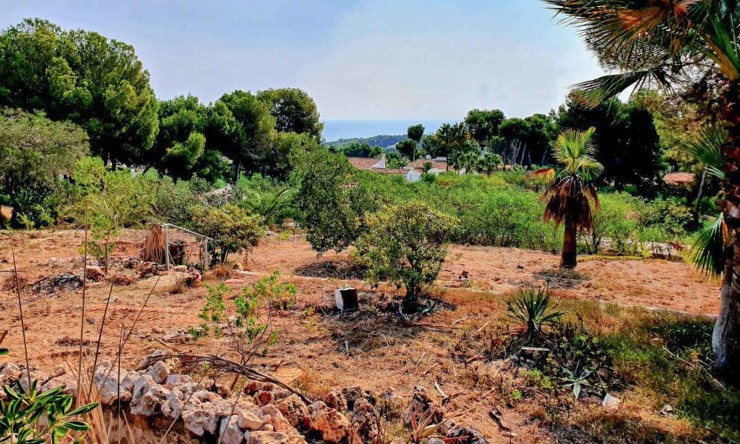 Resale - Plot -
Moraira - Moravit