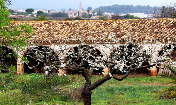 Nouvelle construction - Villa -
Lliber