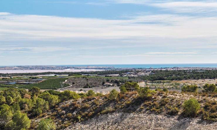 Nieuwbouw Woningen - Villa -
San Miguel de Salinas