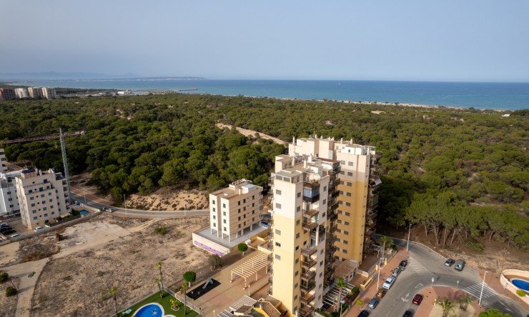 Nowe budownictwo - Apartament -
Guardamar del Segura