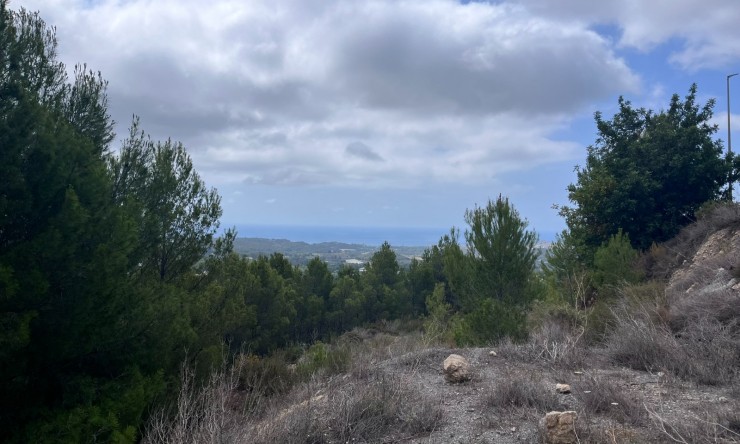 Revente - Tracé -
Altea