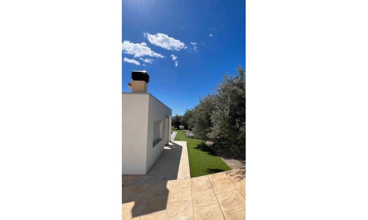 Reventa - Villa -
Altea la Vella - Altea