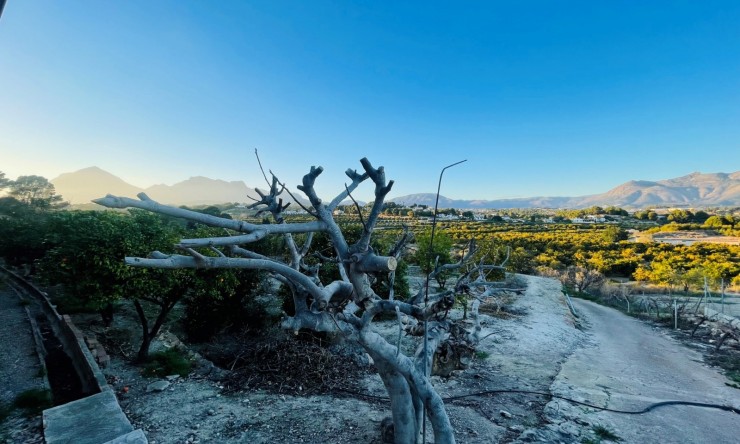 Revente - Tracé -
Altea