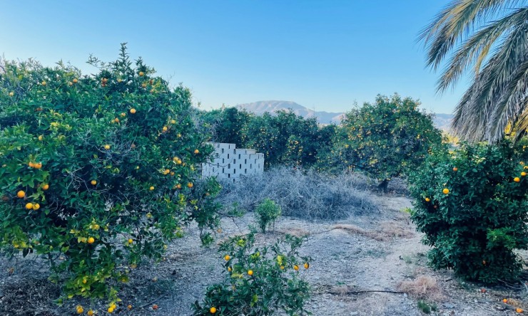 Revente - Tracé -
Altea