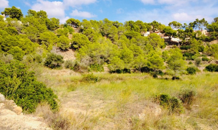 Herverkoop - Plot -
Altea la Vella - Altea